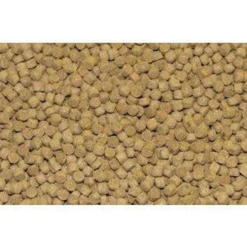 Northfin Cichlid Formula Fish Food â€“ Slow Sinking Pellets for Cichlids (3mm, 250g) | Premium High-Protein, All-Natural Cichlid Diet to Enhance Color & Growth â€“ No Fillers, No Hormones, Made in Canada - Image 3